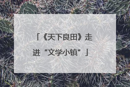 《天下良田》走进“文学小镇”