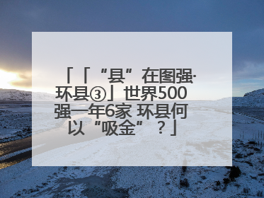 「“县”在图强·环县③」世界500强一年6家 环县何以“吸金”？