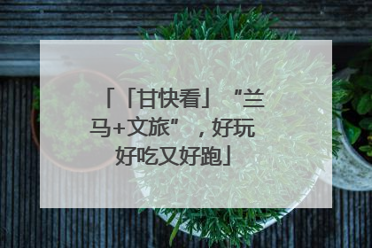 「甘快看」“兰马+文旅”，好玩好吃又好跑