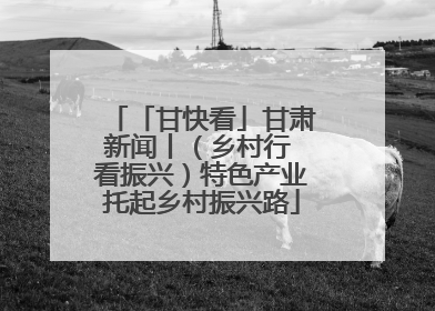 「甘快看」甘肃新闻丨（乡村行 看振兴）特色产业托起乡村振兴路