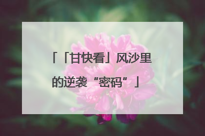 「甘快看」风沙里的逆袭“密码”