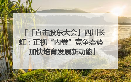 「直击股东大会」四川长虹：正视“内卷”竞争态势 加快培育发展新动能
