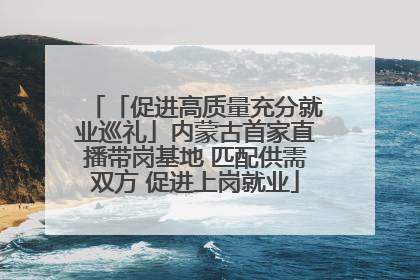「促进高质量充分就业巡礼」内蒙古首家直播带岗基地 匹配供需双方 促进上岗就业