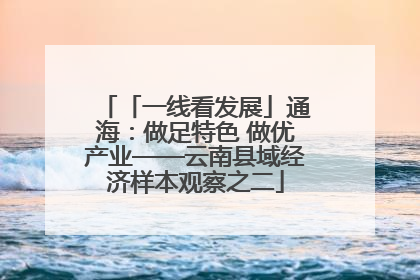 「一线看发展」通海：做足特色 做优产业——云南县域经济样本观察之二