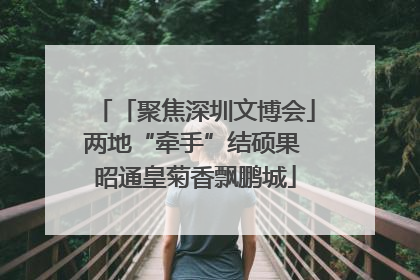 「聚焦深圳文博会」两地“牵手”结硕果 昭通皇菊香飘鹏城