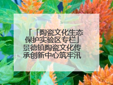 「陶瓷文化生态保护实验区专栏」景德镇陶瓷文化传承创新中心筑牢汛期安全线