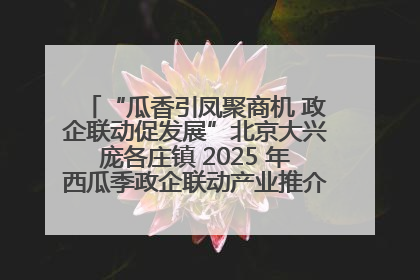 “瓜香引凤聚商机 政企联动促发展”北京大兴庞各庄镇 2025 年西瓜季政企联动产业推介活动圆满举行
