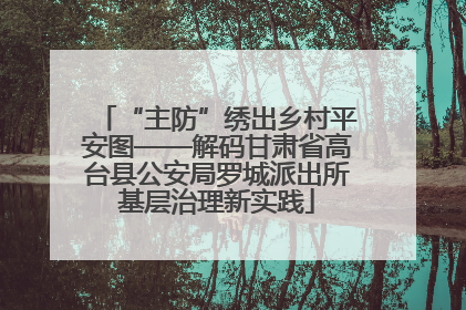“主防”绣出乡村平安图——解码甘肃省高台县公安局罗城派出所基层治理新实践