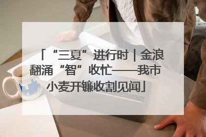 “三夏”进行时｜金浪翻涌“智”收忙——我市小麦开镰收割见闻