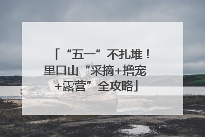 “五一”不扎堆！里口山“采摘+撸宠+露营”全攻略