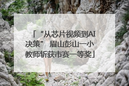 “从芯片视频到AI决策” 眉山彭山一小教师斩获市赛一等奖