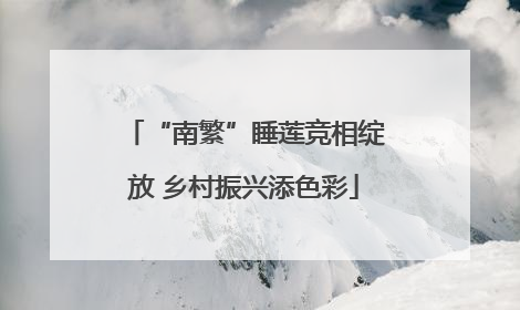 “南繁”睡莲竞相绽放 乡村振兴添色彩