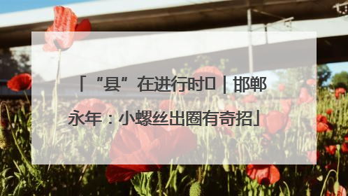 “县”在进行时⑬｜邯郸永年：小螺丝出圈有奇招