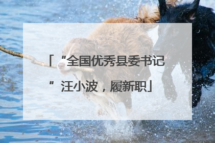 “全国优秀县委书记”汪小波，履新职