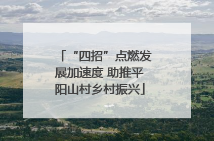 “四招”点燃发展加速度 助推平阳山村乡村振兴