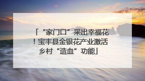 “家门口”采出幸福花！宝丰县金银花产业激活乡村“造血”功能