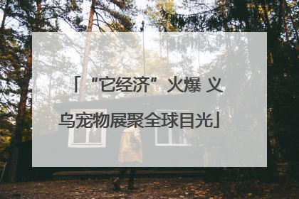 “它经济”火爆 义乌宠物展聚全球目光