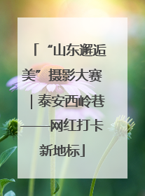 “山东邂逅美”摄影大赛｜泰安西岭巷——网红打卡新地标