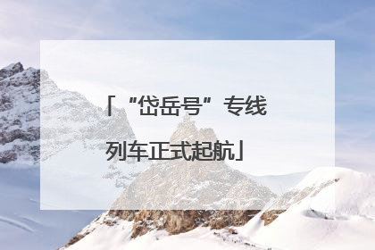 “岱岳号”专线列车正式起航