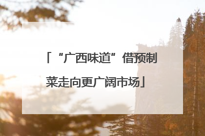 “广西味道”借预制菜走向更广阔市场