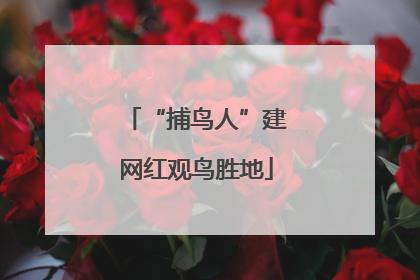 “捕鸟人”建网红观鸟胜地