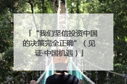 “我们坚信投资中国的决策完全正确”（见证·中国机遇）