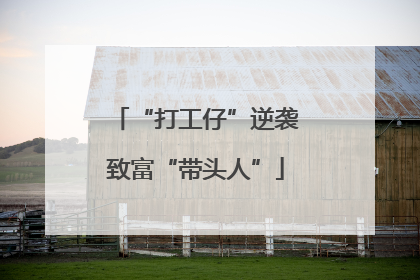 “打工仔”逆袭致富“带头人”