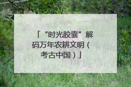 “时光胶囊”解码万年农耕文明（考古中国）