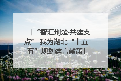 “智汇荆楚·共建支点” 我为湖北“十五五”规划建言献策
