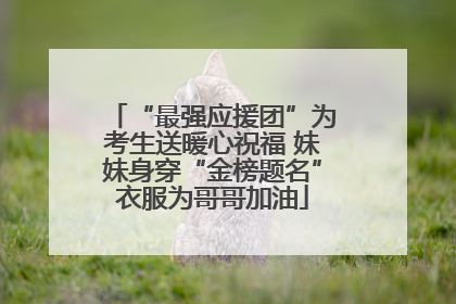 “最强应援团”为考生送暖心祝福 妹妹身穿“金榜题名”衣服为哥哥加油
