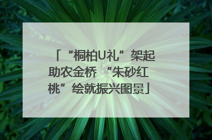 “桐柏U礼”架起助农金桥 “朱砂红桃”绘就振兴图景
