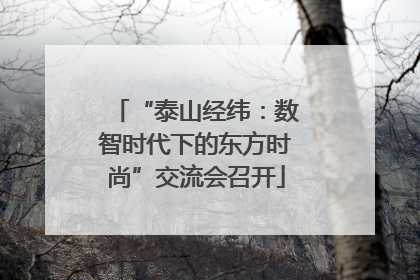 “泰山经纬：数智时代下的东方时尚”交流会召开