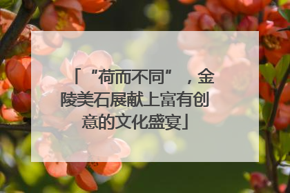 “荷而不同”，金陵美石展献上富有创意的文化盛宴