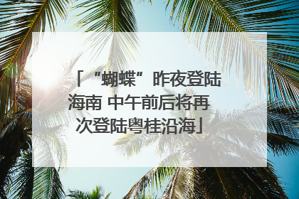 “蝴蝶”昨夜登陆海南 中午前后将再次登陆粤桂沿海
