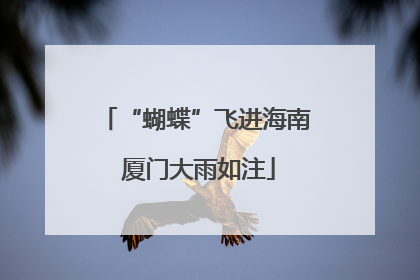 “蝴蝶”飞进海南 厦门大雨如注