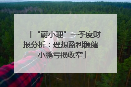 “蔚小理”一季度财报分析：理想盈利稳健 小鹏亏损收窄