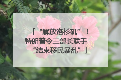 “解放洛杉矶”！特朗普令三部长联手“结束移民暴乱”