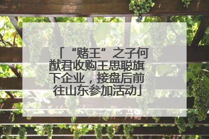 “赌王”之子何猷君收购王思聪旗下企业，接盘后前往山东参加活动