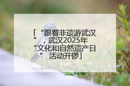 “跟着非遗游武汉”，武汉2025年“文化和自然遗产日” 活动开锣