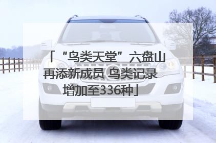 “鸟类天堂”六盘山再添新成员 鸟类记录增加至336种
