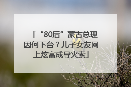 “80后”蒙古总理因何下台？儿子女友网上炫富成导火索