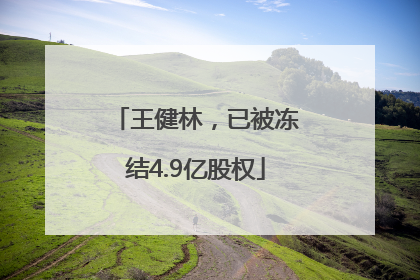 王健林，已被冻结4.9亿股权