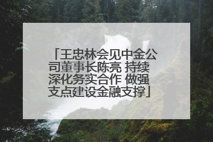 王忠林会见中金公司董事长陈亮 持续深化务实合作 做强支点建设金融支撑