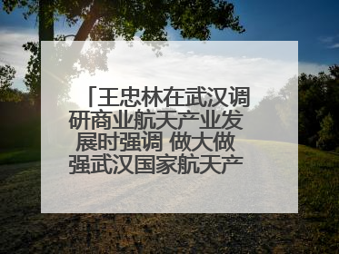 王忠林在武汉调研商业航天产业发展时强调 做大做强武汉国家航天产业基地 打造具有全国影响力的“中国星谷”