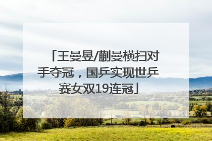 王曼昱/蒯曼横扫对手夺冠，国乒实现世乒赛女双19连冠