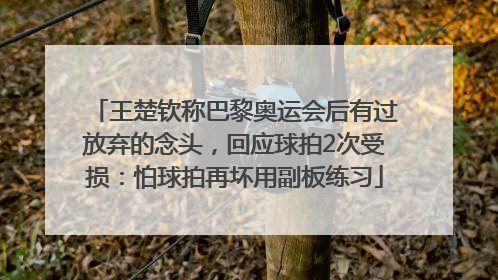 王楚钦称巴黎奥运会后有过放弃的念头，回应球拍2次受损：怕球拍再坏用副板练习