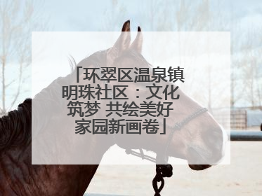 环翠区温泉镇明珠社区：文化筑梦 共绘美好家园新画卷
