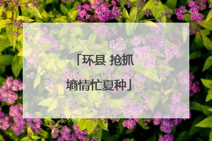 环县 抢抓墒情忙夏种