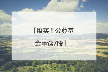 爆买！公募基金重仓7股