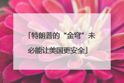 特朗普的“金穹”未必能让美国更安全